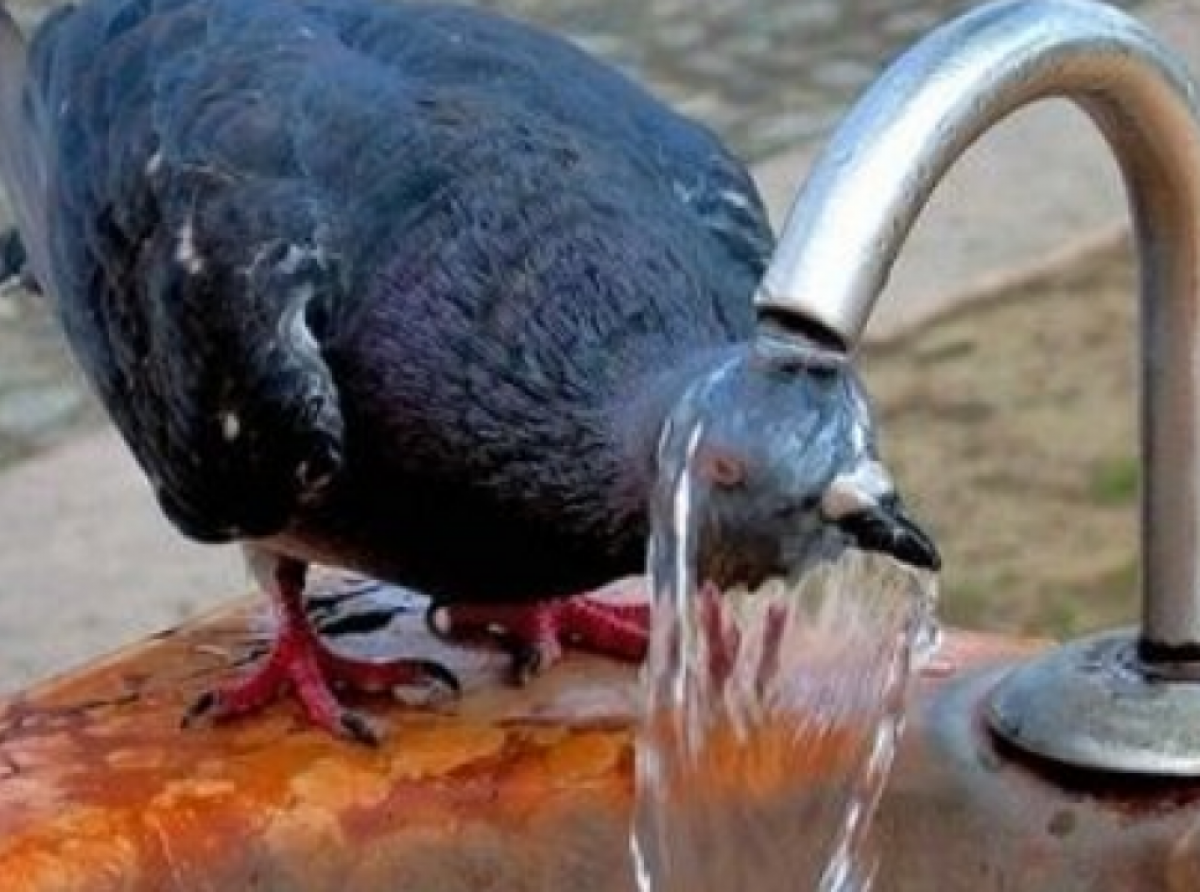 Αγγίζει τους 41 βαθμούς η θερμοκρασία 