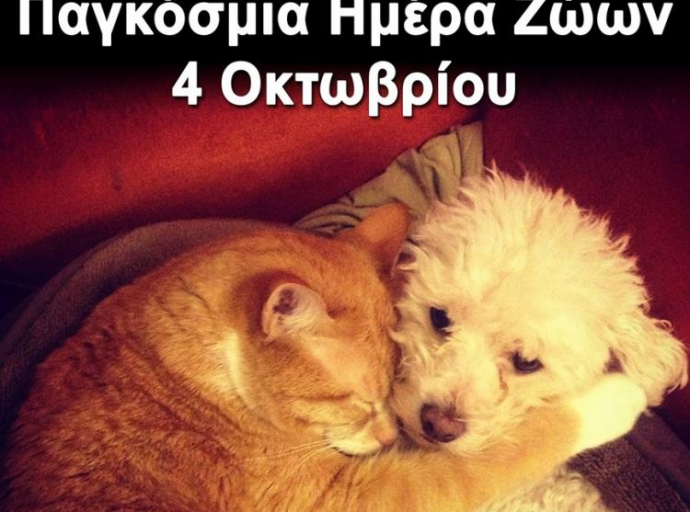 4 Οκτωβρίου Παγκόσμια Ημέρα των Ζώων : "Πάρε το κατοικίδιό σου και έλα"