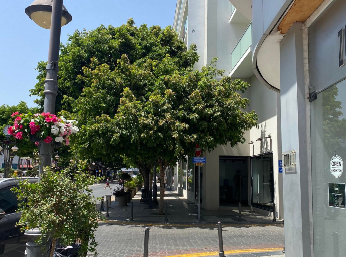 Άνεμος αισιοδοξίας στο Ιστορικό Εμπορικό Κέντρο της  Λεμεσού