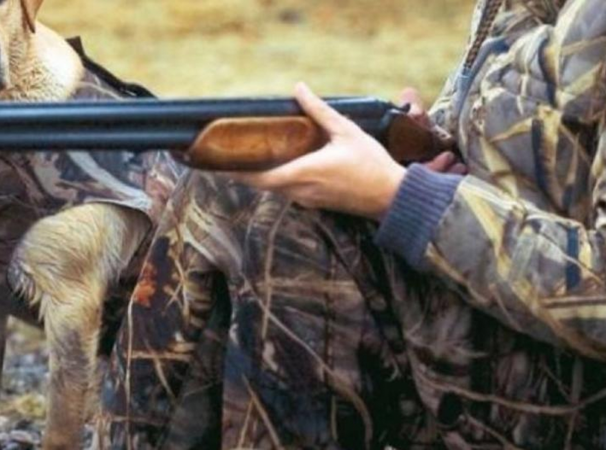 Αρχίζει αύριο το κυνήγι λαγού, πέρδικας και φραγκολίνας. Αναμένεται να εξορμήσουν πέραν των σαράντα χιλιάδων κυνηγοί