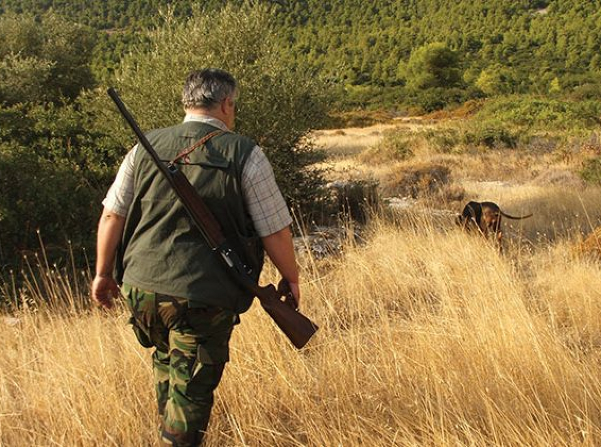 Έναρξη κυνηγετικής περιόδου επιδημητικού θηράματος και προστασία των δασών από τις πυρκαγιές