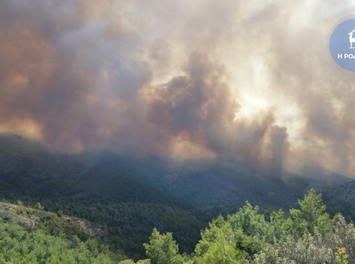 Εκτός ελέγχου η κατάσταση με το μέτωπο της φωτιάς -Ζητήθηκε συνδρομή για πρατήριο καυσίμων