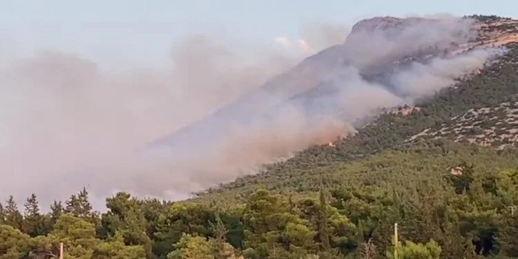 Μεγάλη αναζωπύρωση στην Πάρνηθα μετά από «έκρηξη» φωτιάς 
