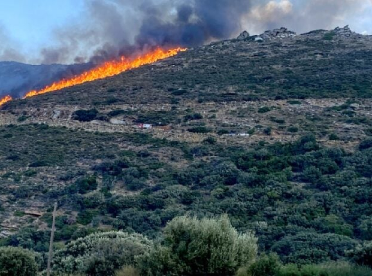 Φωτιές σε Άνδρο και Έβρο: Άνιση μάχη με νεκρά ζώα και εκκενώσεις οικισμών