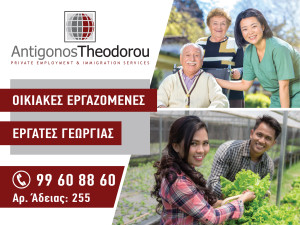 Antigonos Theodorou Immigration Services